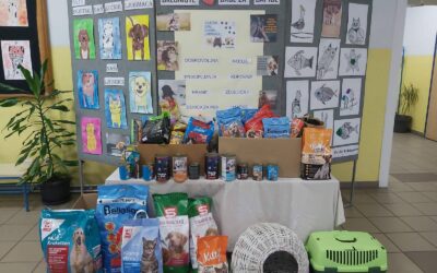 Učenici PŠ Vranovci pokazali veliko srce za napuštene životinje, uručili donaciju skloništu “Srce za šapice”